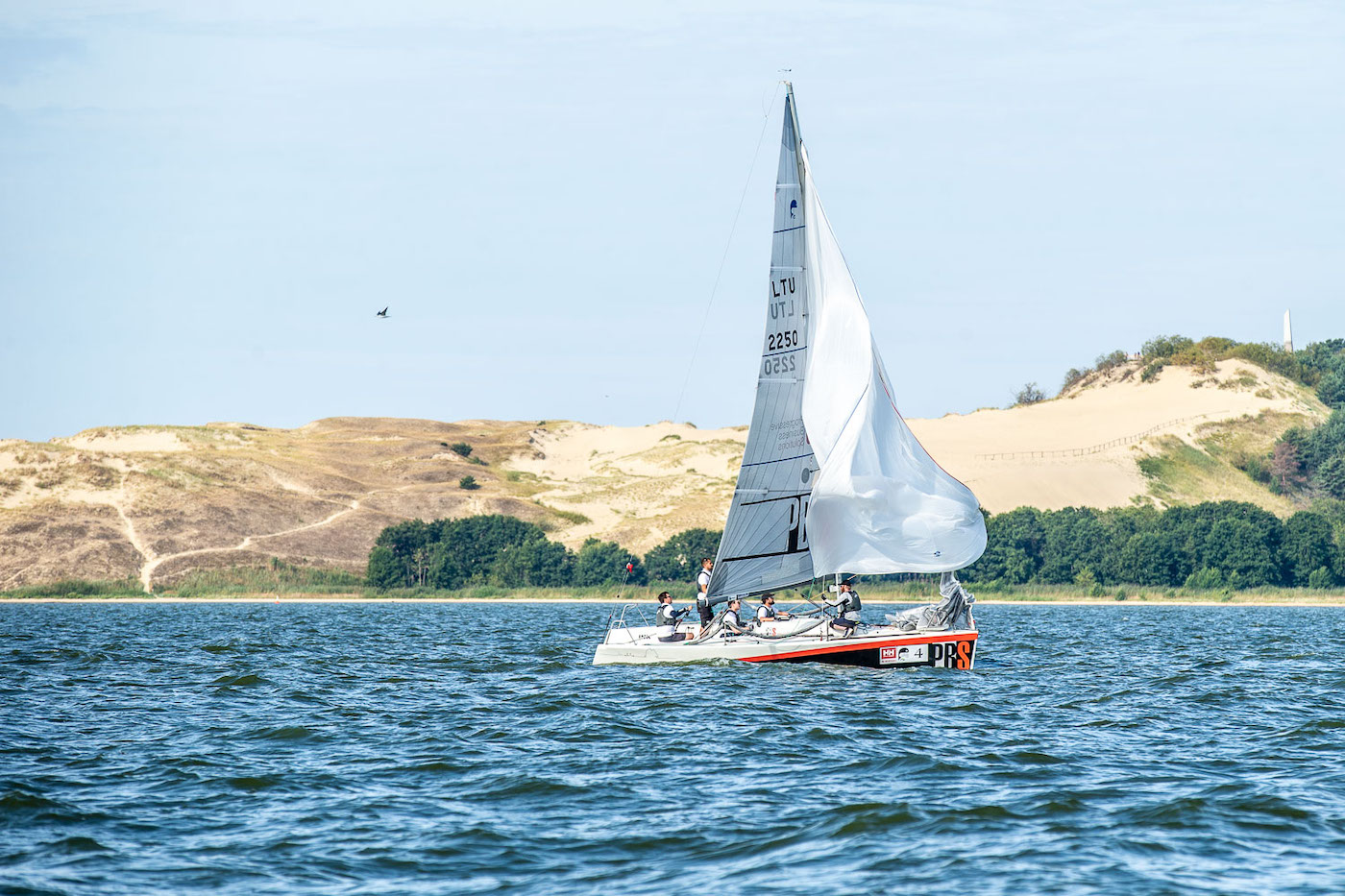 Koerse Schoorwal Parnidis dune varen