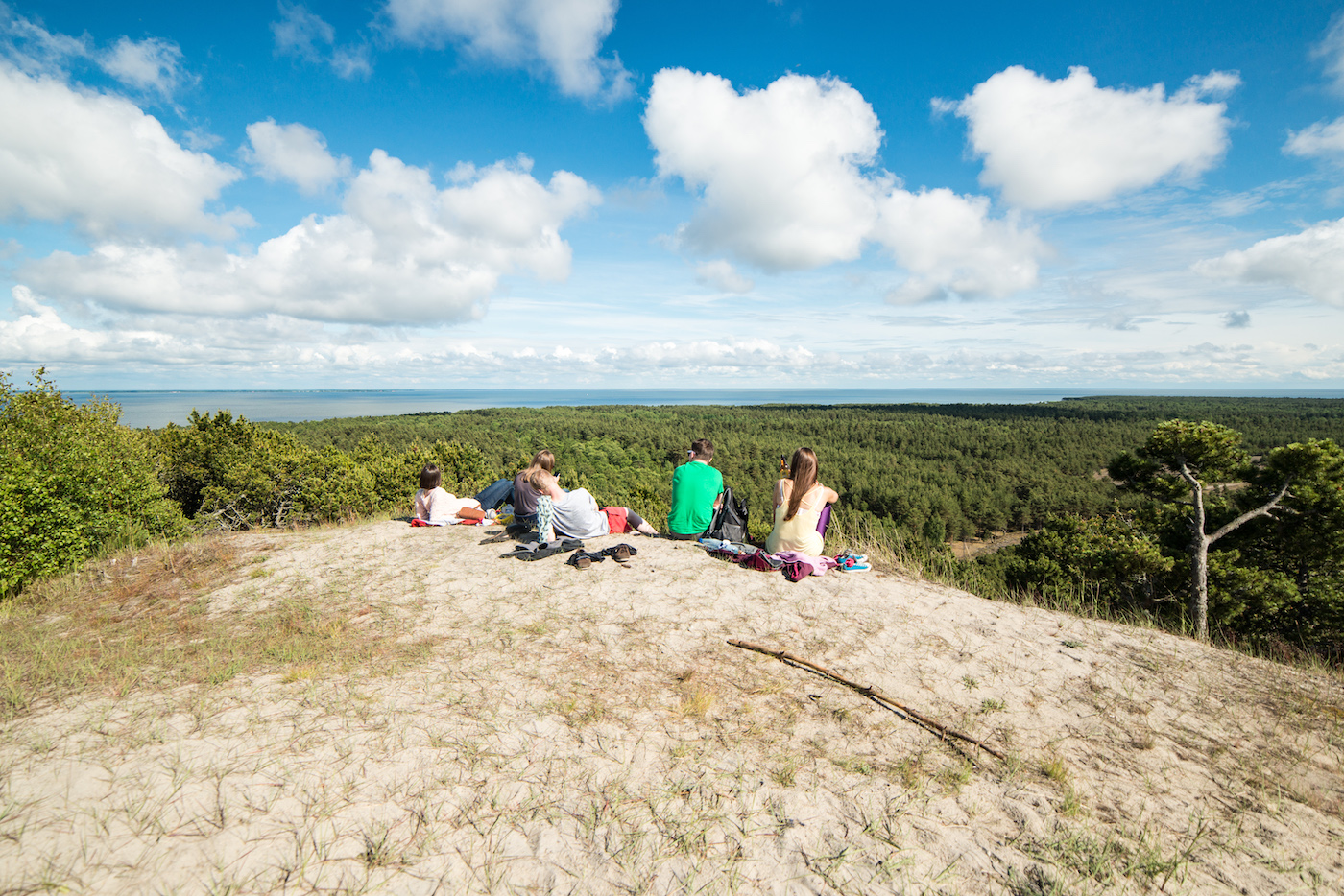 Koerse Schoorwal Vecekrugas dune