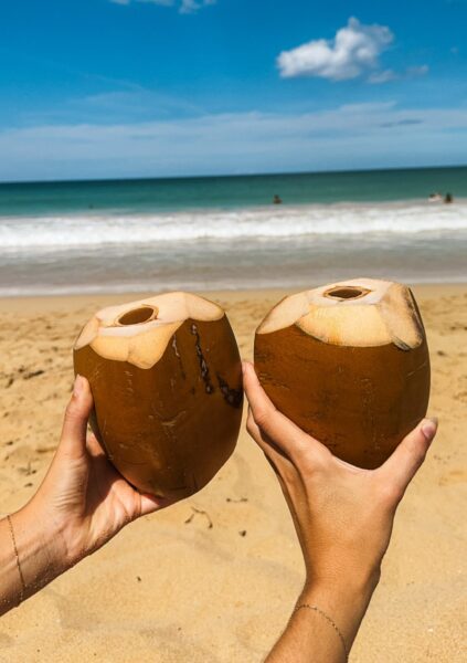 Kokosnoot op het strand, Punta Cana