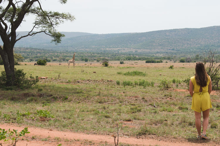 Kololo Game Reserve wandeling safari giraffe