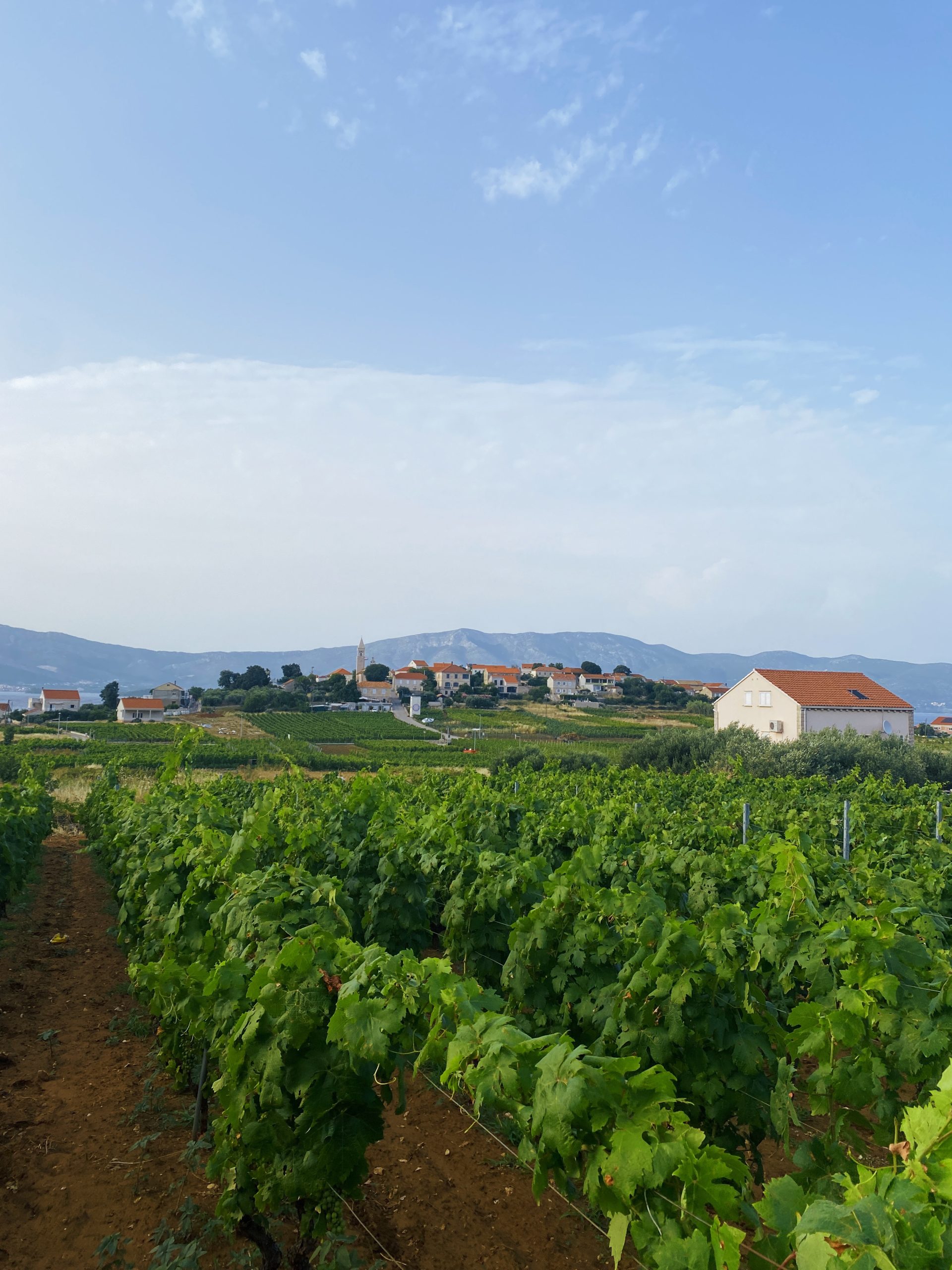 Korcula eiland kroatie