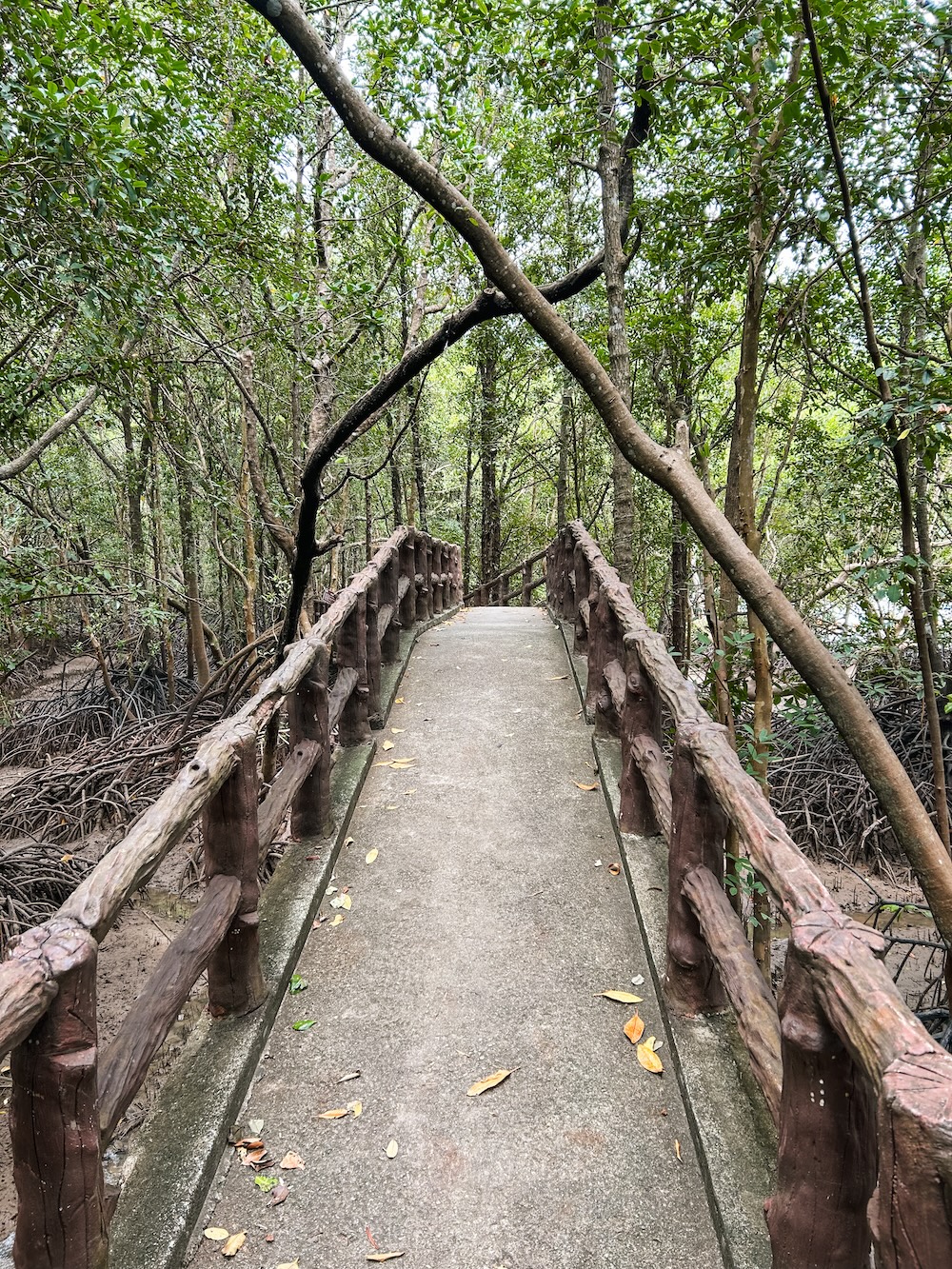 Krabi Urban Forest brug