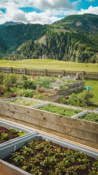 Kruidenrondleiding door tuin Lesachtal