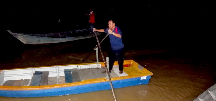 Kuala Selangor vuurvliegjes Kuala Lumpur