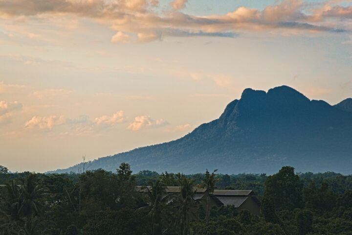 Kuching natuur