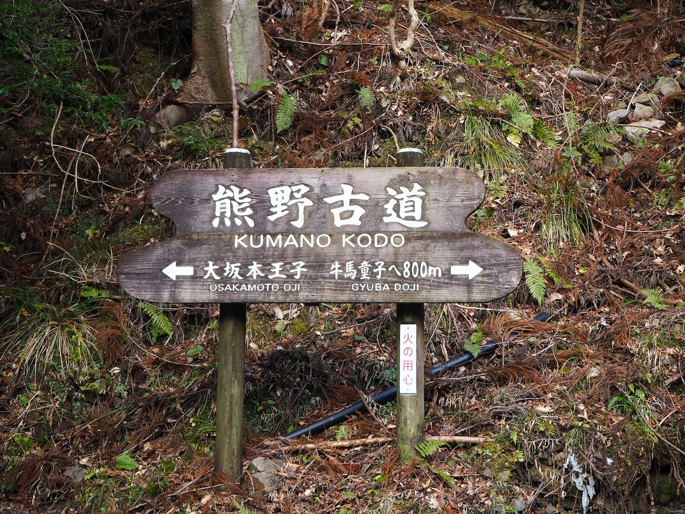 Kumano Kodo Japan