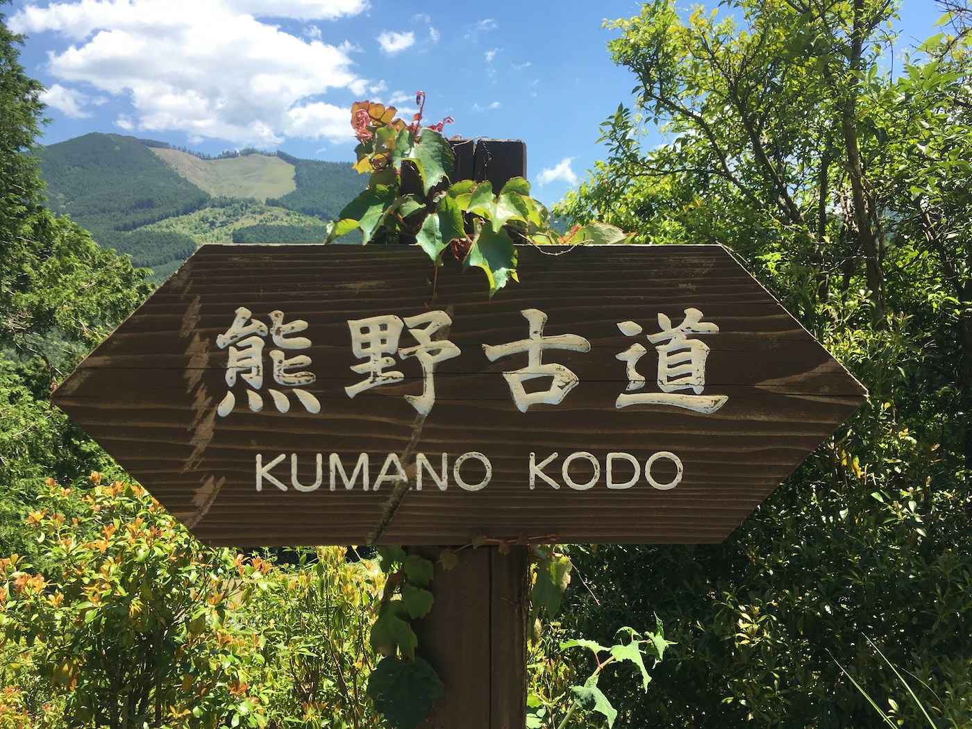 Kumano Kodo wandelroute japan wandelen