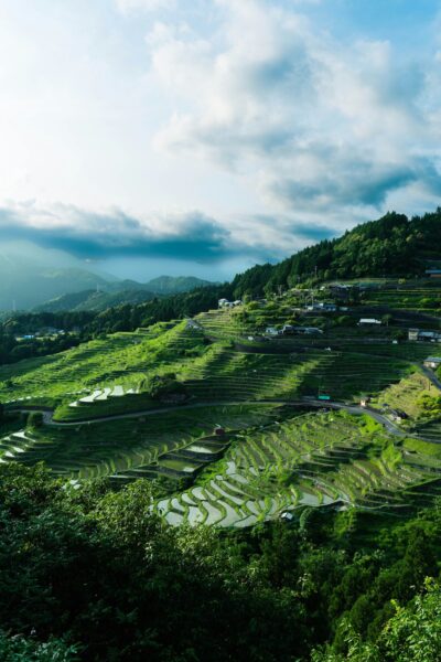 Terraced rice fields down a green hillside with small houses under a cloudy sky, mountains in the distance.