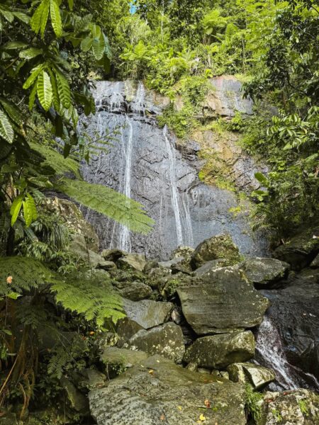 La Coca Falls El Yunque National Forest