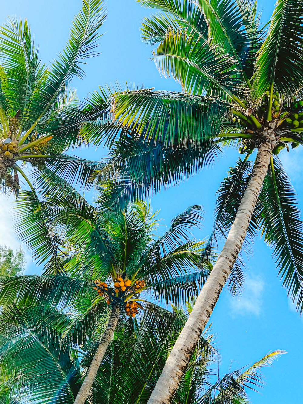 La Réunion