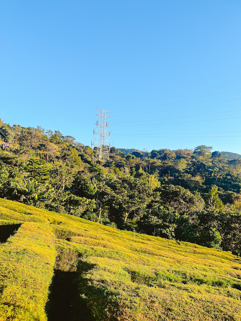 Laberinto de Apaneca, Ruta de las Flores