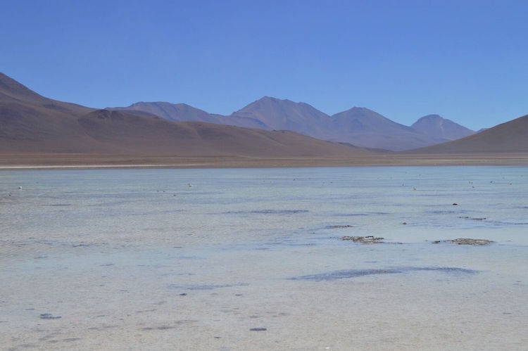 laguna-blanca-onderweg-salar-de-uyuni-bolivia