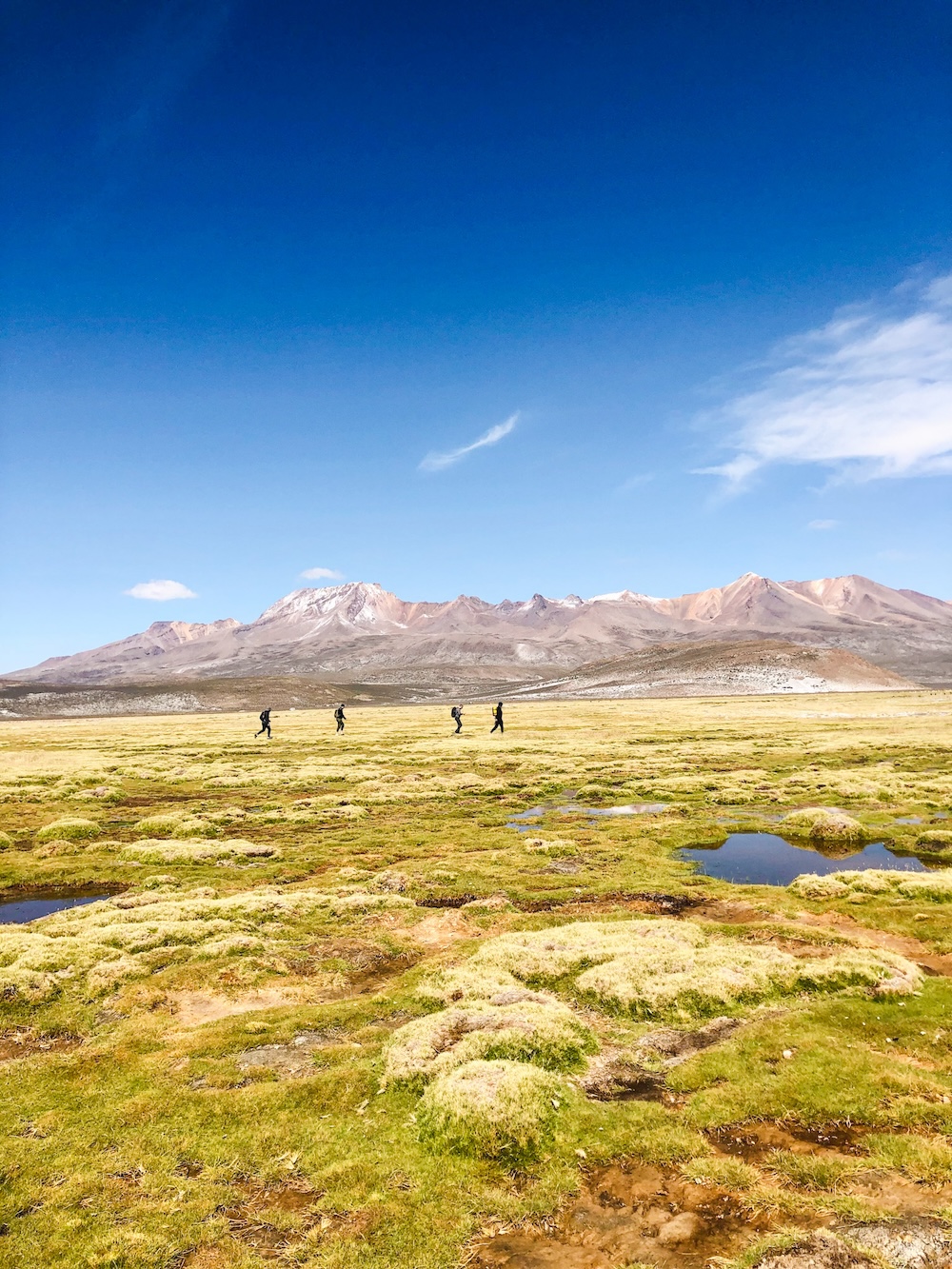 Laguna de Salinas