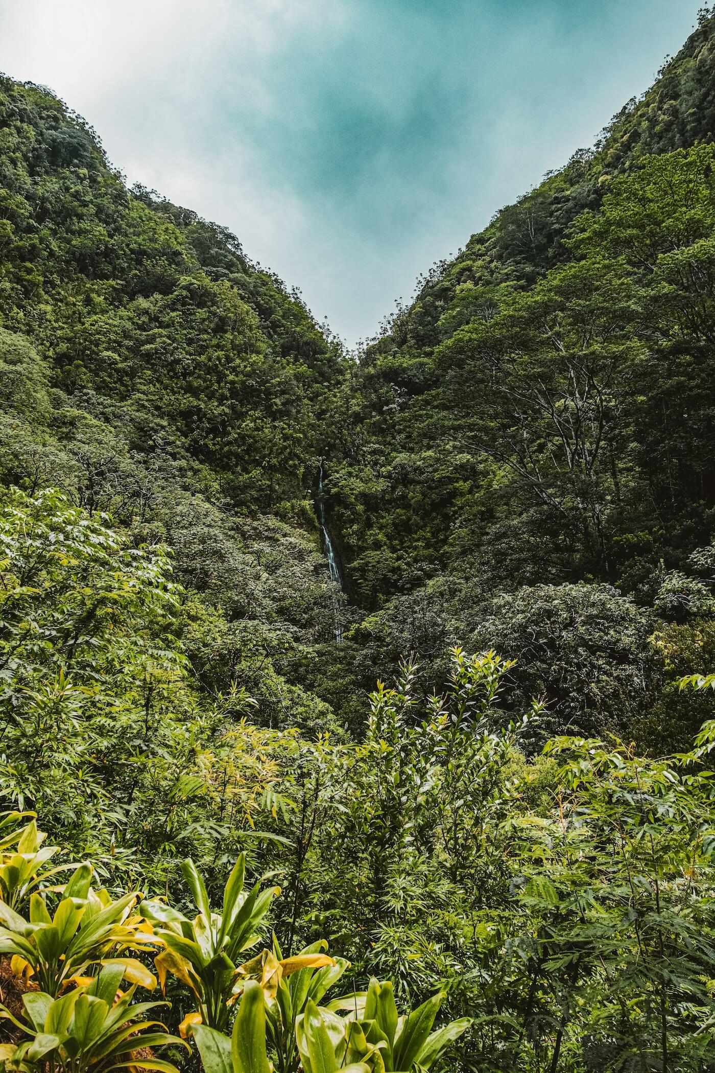 Landschap Manoa Falls