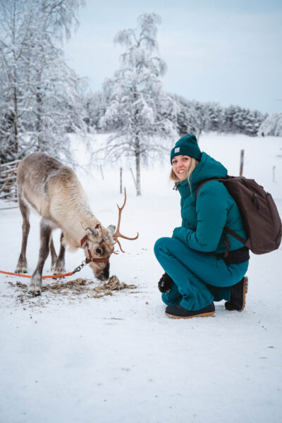 Lapland Travel rendieren review