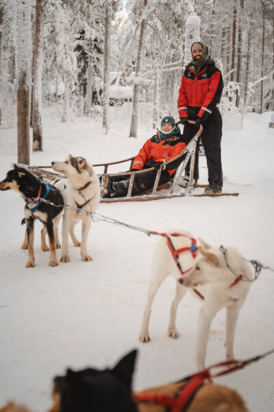 Lapland travel husky safari