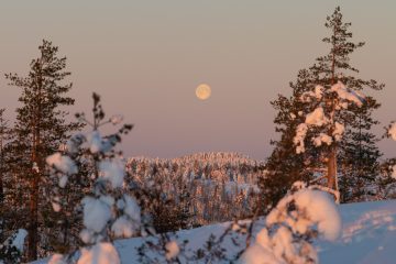 Lapland winter reis nordic