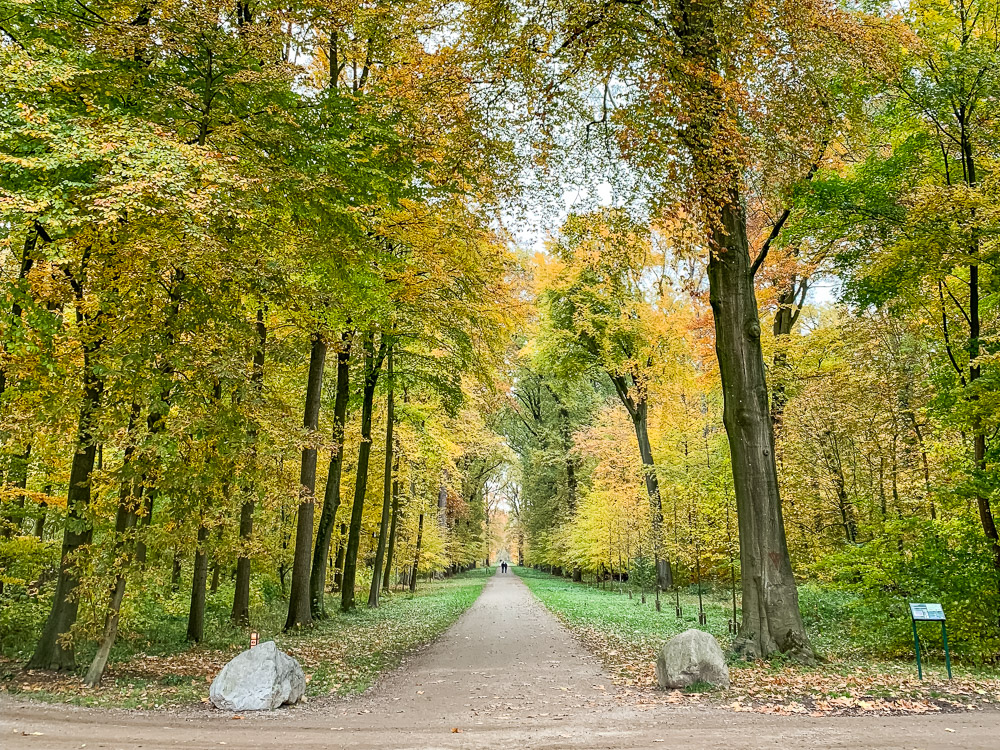 Leuke steden Nederland Utrecht tips