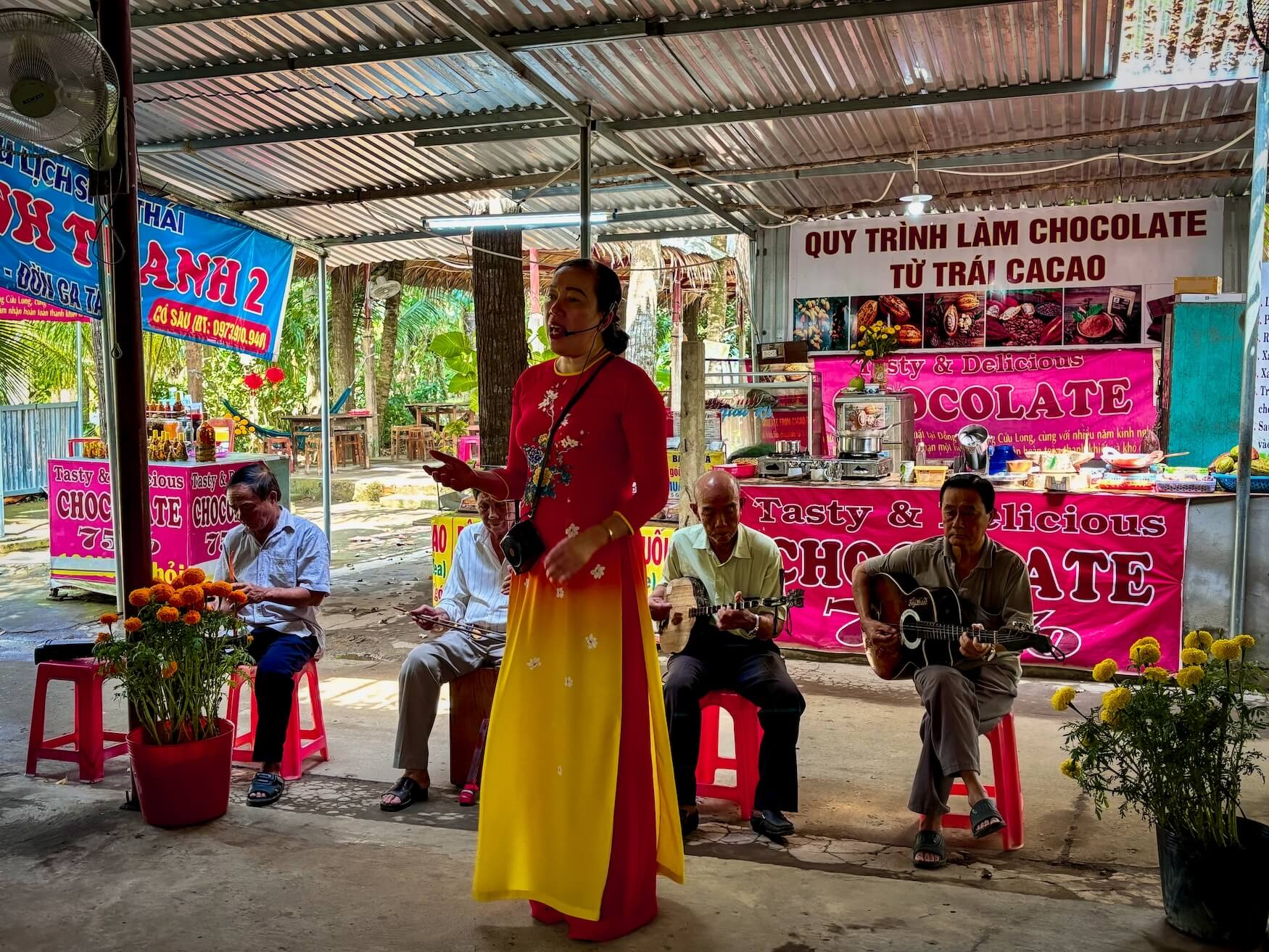 Lokale zangers Mekong Delta