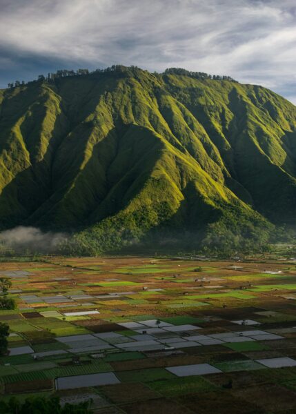 Rijstvelden in Lombok