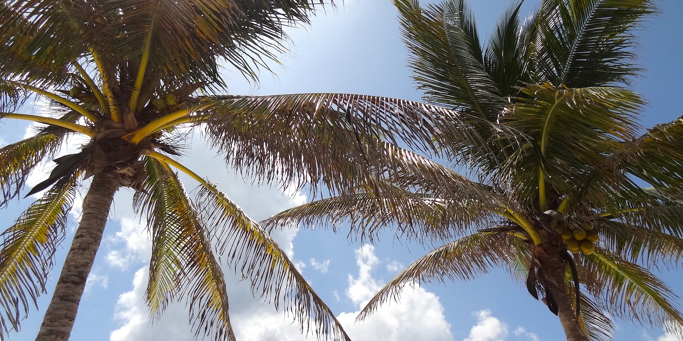 Mahahual Mexico