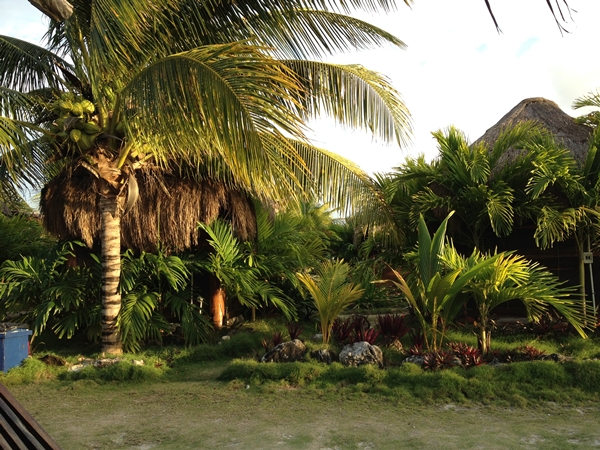 Mahahual blue kay garden