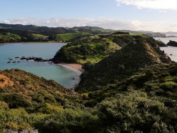 Mahinepua pensinsula track landschap