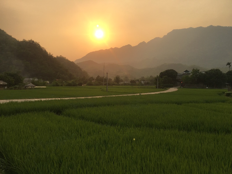 Mai Chau rijstvelden vietnam