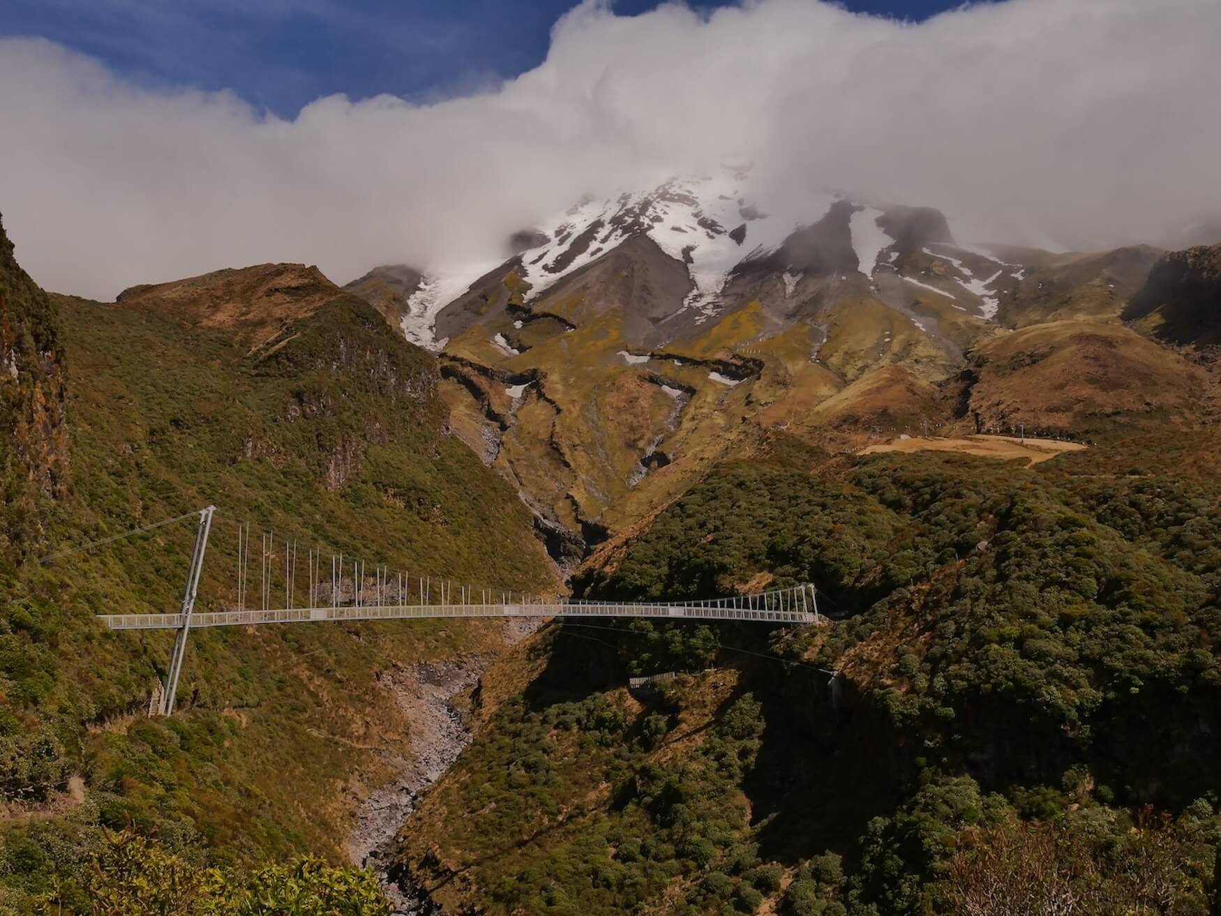 Manganui Gorge Track brug