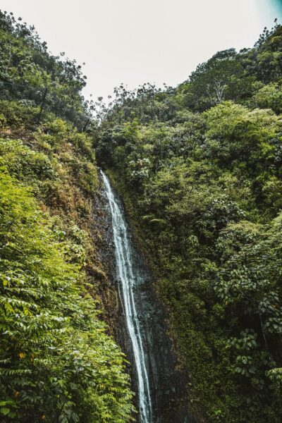 Manoa Fall Hawaii