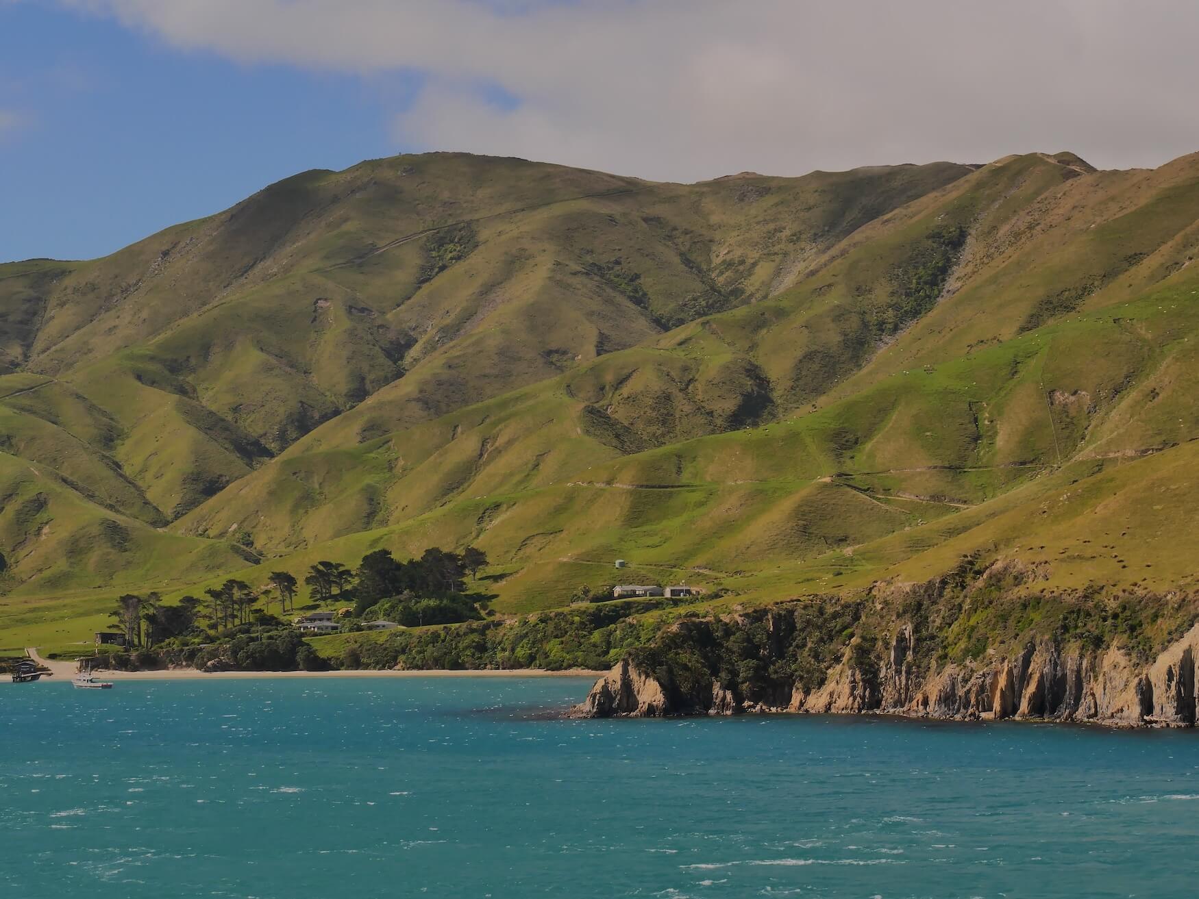 Marlborough Sounds groene heuvels