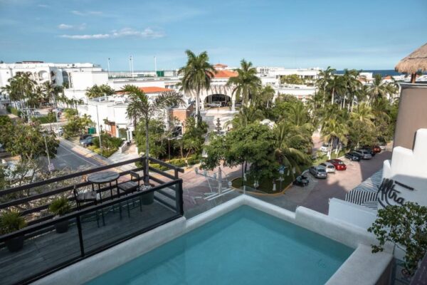 Rooftop terrace with a rectangular pool overlooking a palm-lined street and white resort buildings; the ocean is visible in the distance.