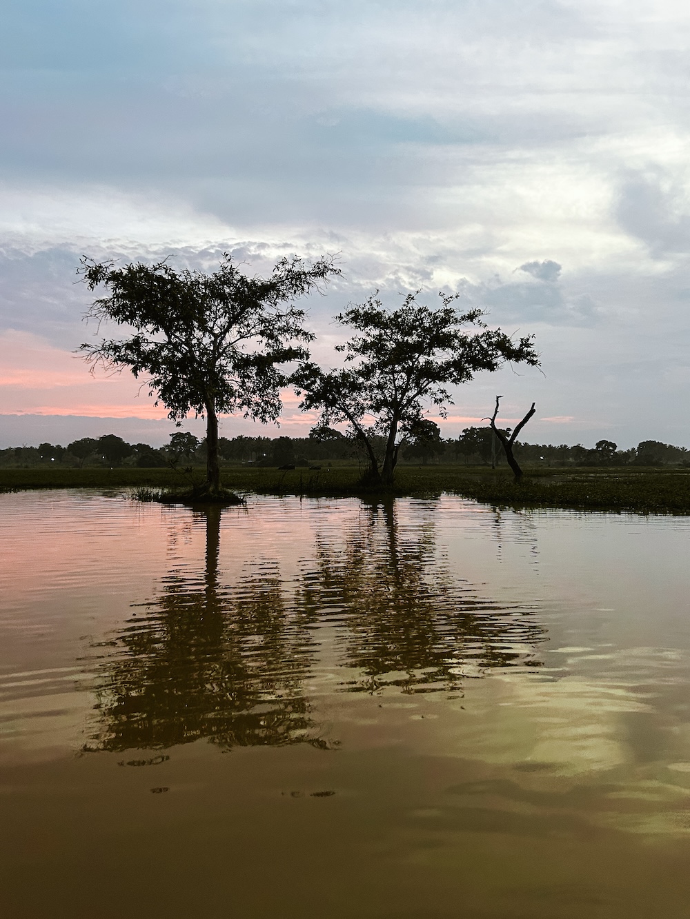 Meer voor The Kingdom Eco Lodge