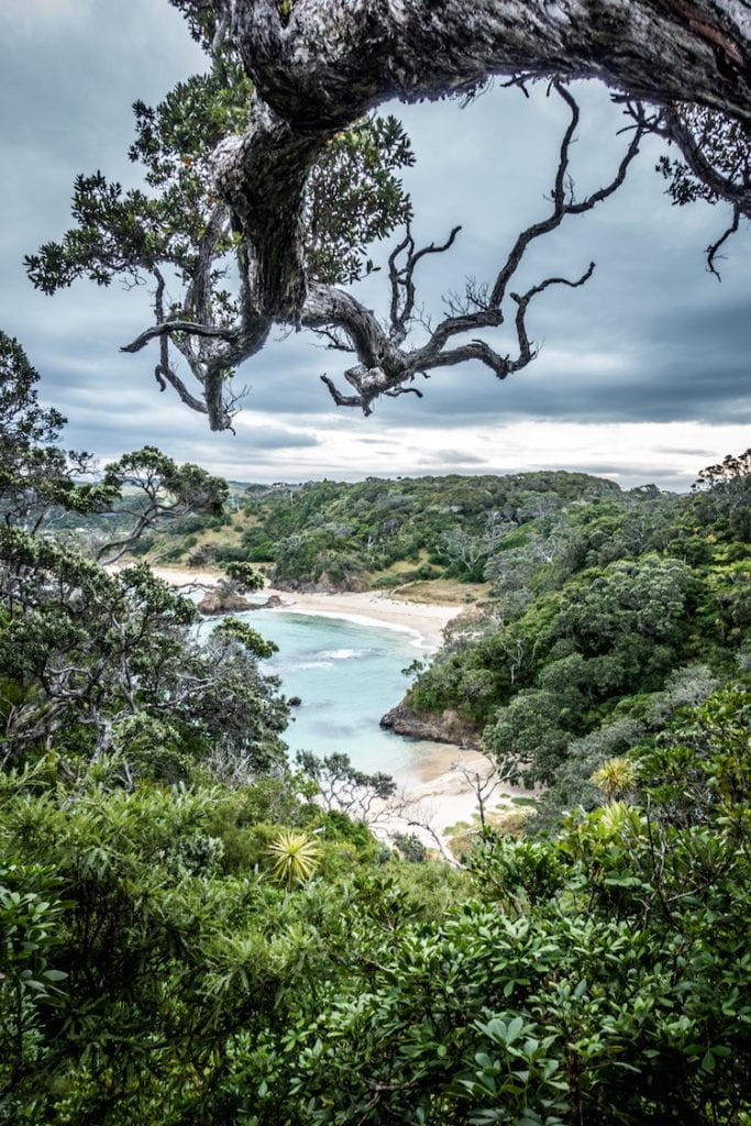 Mermaid Pools nieuw-zeeland WeAreTravellers Yannick De Pauw