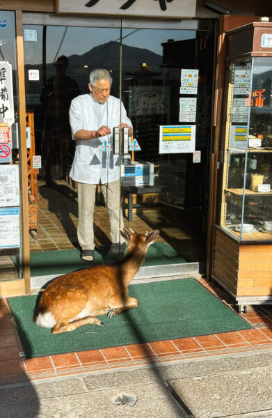 Momijidani Park herten