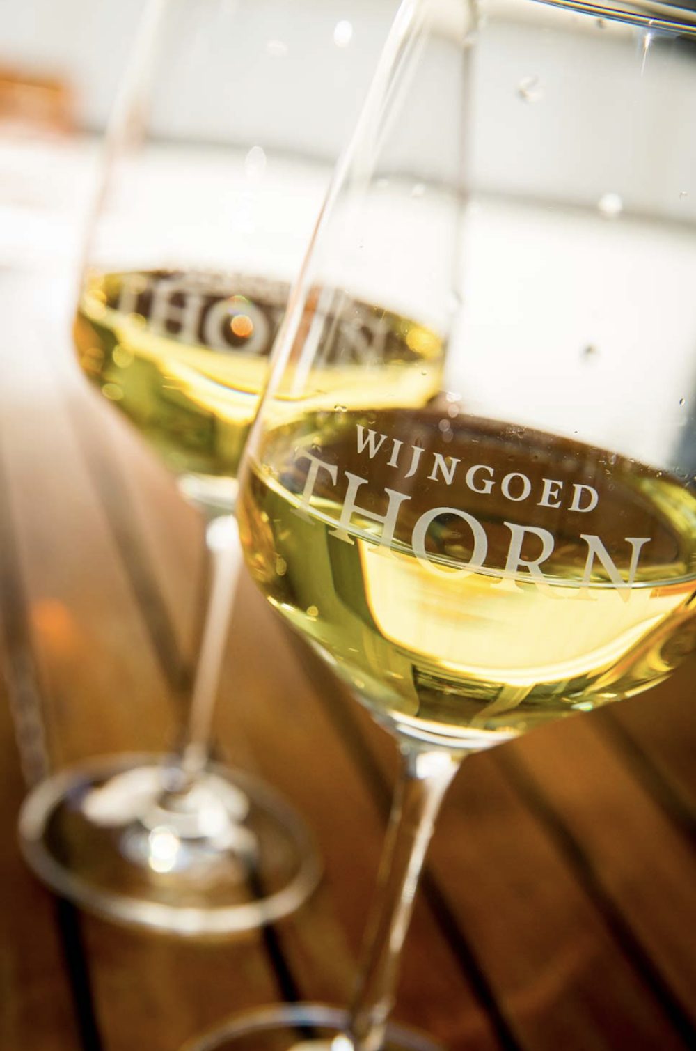 Mooie wijngaard in Limburg, Wijngoed Thorn