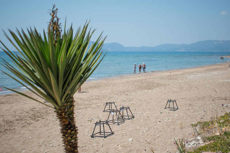 Mooiste stranden Zakynthos Dafni Beach