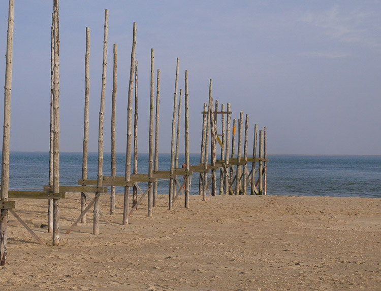 Mooiste stranden nederland texel