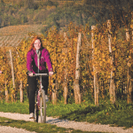 Mountainbiken vipava