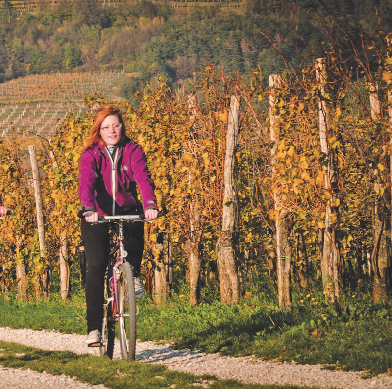 Mountainbiken vipava
