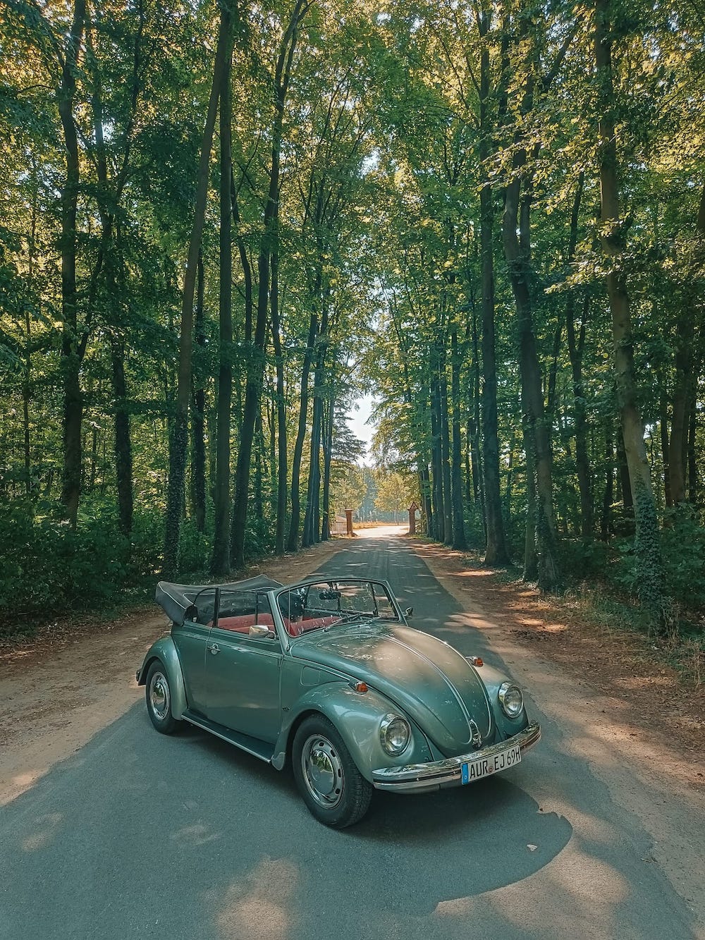 Munster oldtimer