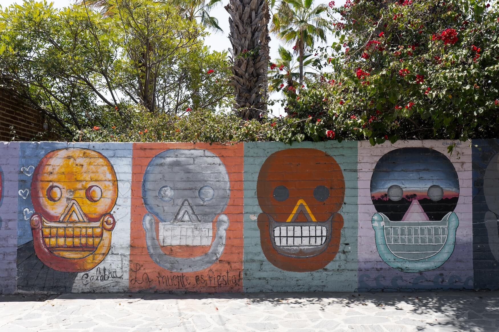 Muurschildering Todos Santos