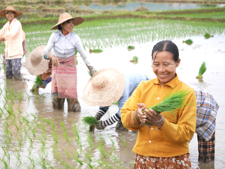 Myanmar locals