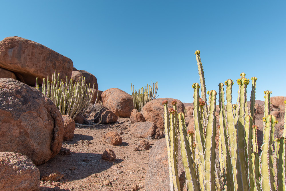 Namibie rondreis natuur
