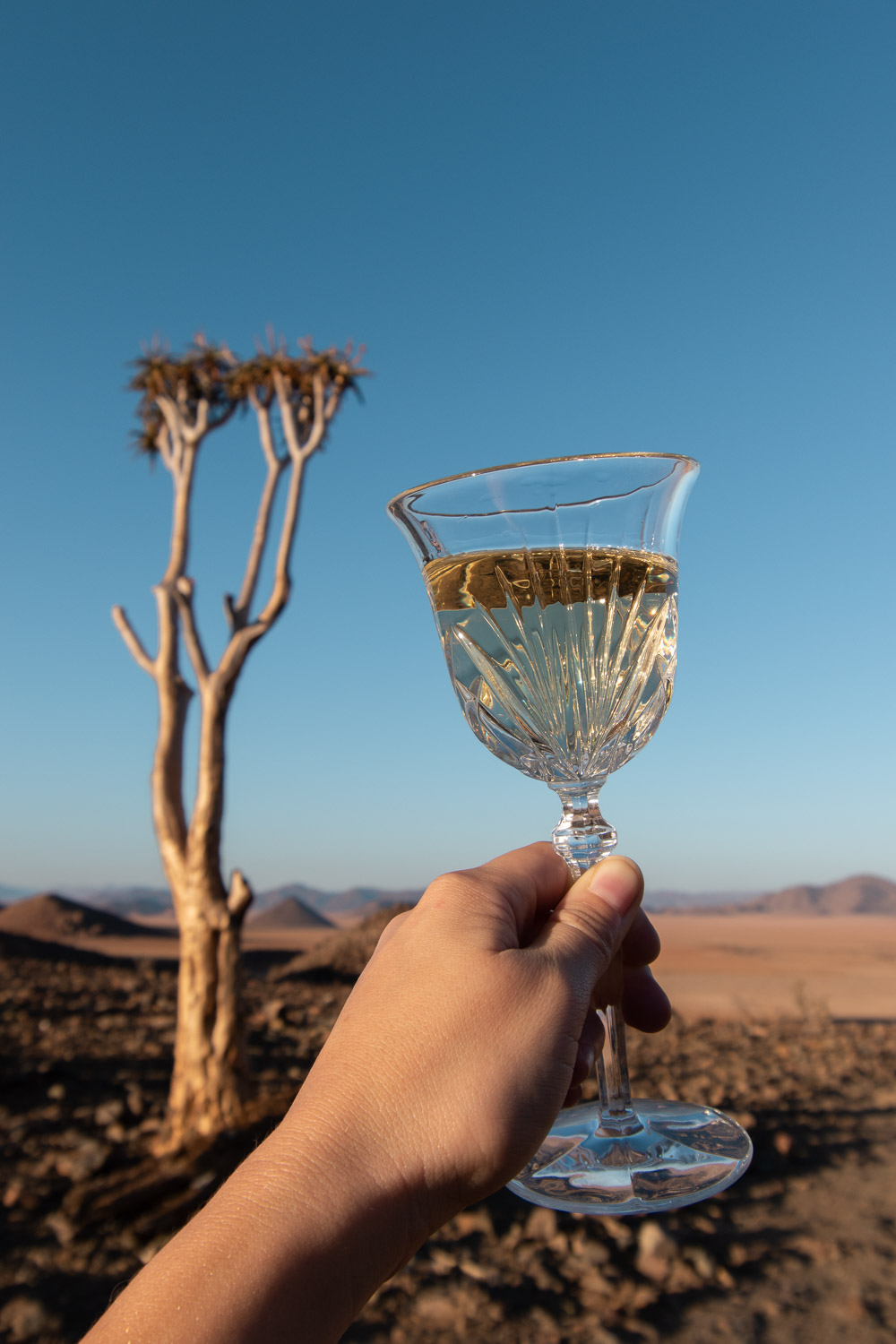 Namibie sonop game drive drankjes sunset-2