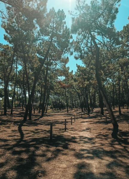 Nantes duinen faute sur mer