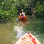 Naples Florida kayak tour zeester