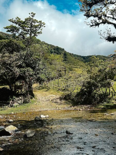 Natuur El Pianista Trail