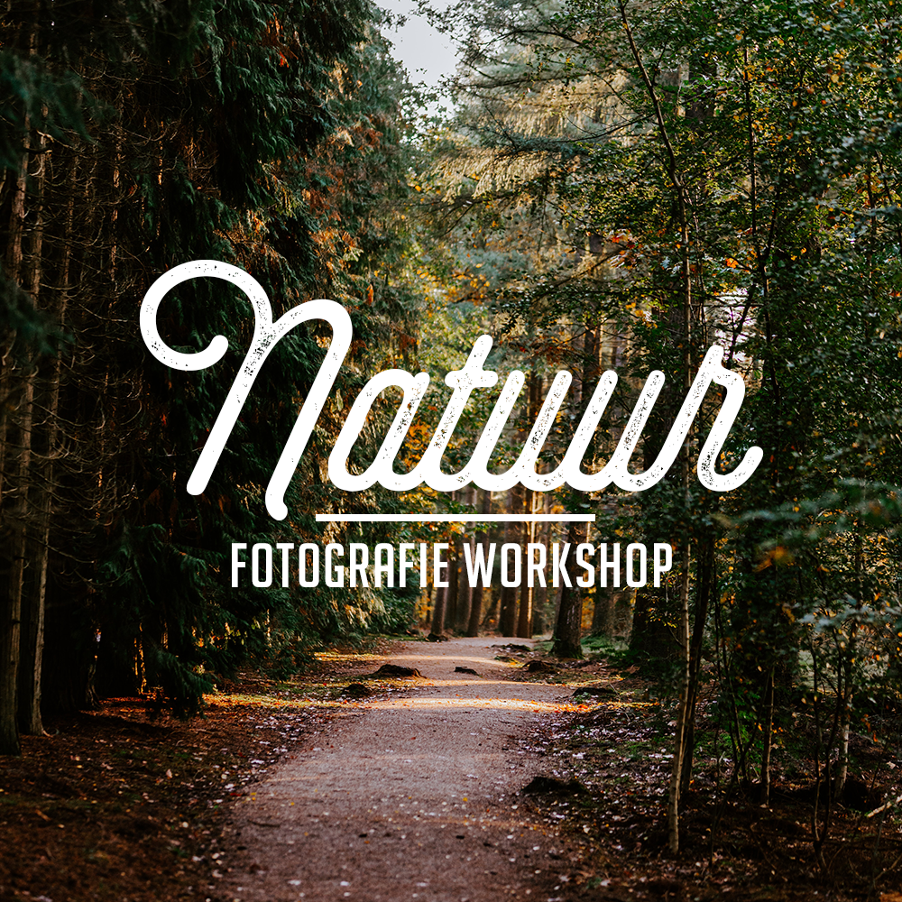 Natuur Fotografie Workshop