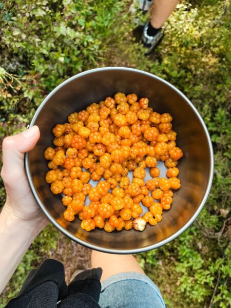 Natuur in Zweden, kruipbramen plukken